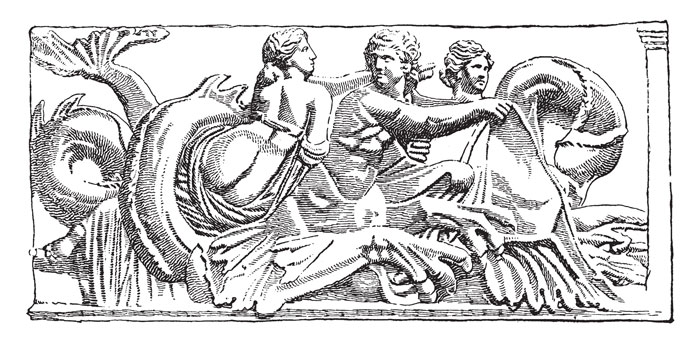 337 Nereids DP Morphart NEW!